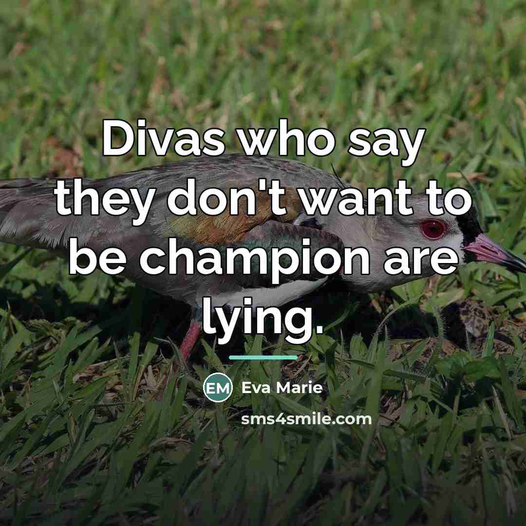 “Divas who say they don't want to be champion are…” quote by Eva Marie
