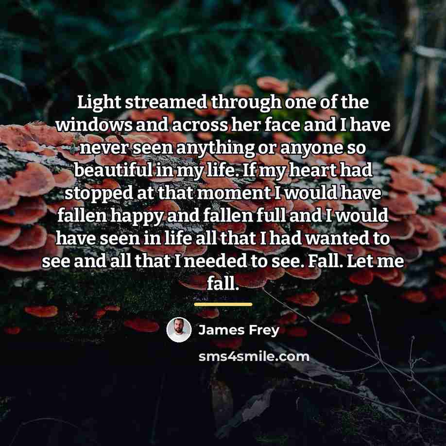 “Light streamed through one of the windows and across her…” quote by James Frey