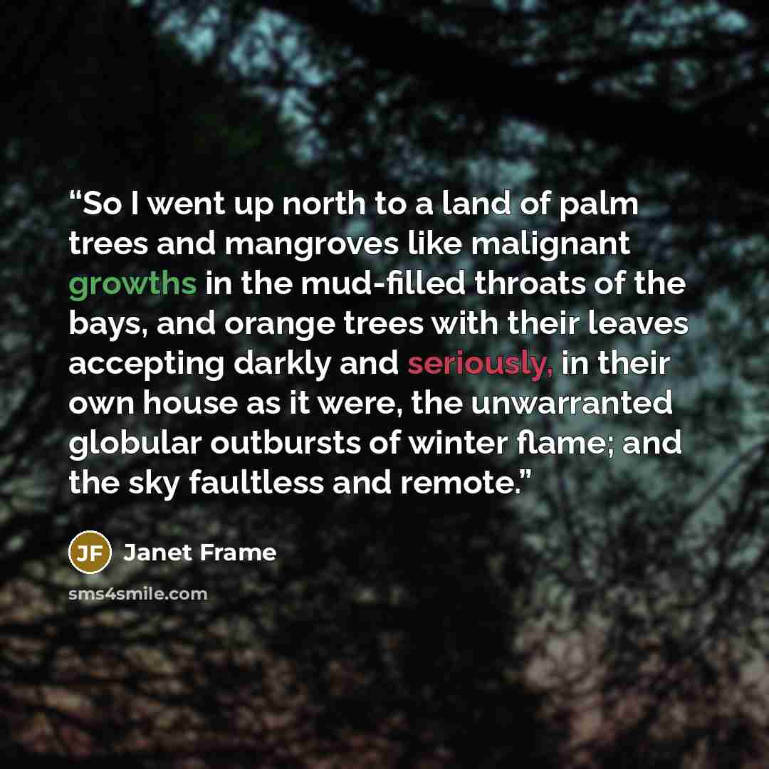 “So I went up north to a land of palm trees and mangroves like malignant growths in the mud-filled throats of the bays, and orange trees with their leaves accepting darkly and seriously, in their own house as it were, the unwarranted globular outbursts of winter flame; and the sky faultless and…” quote by Janet Frame