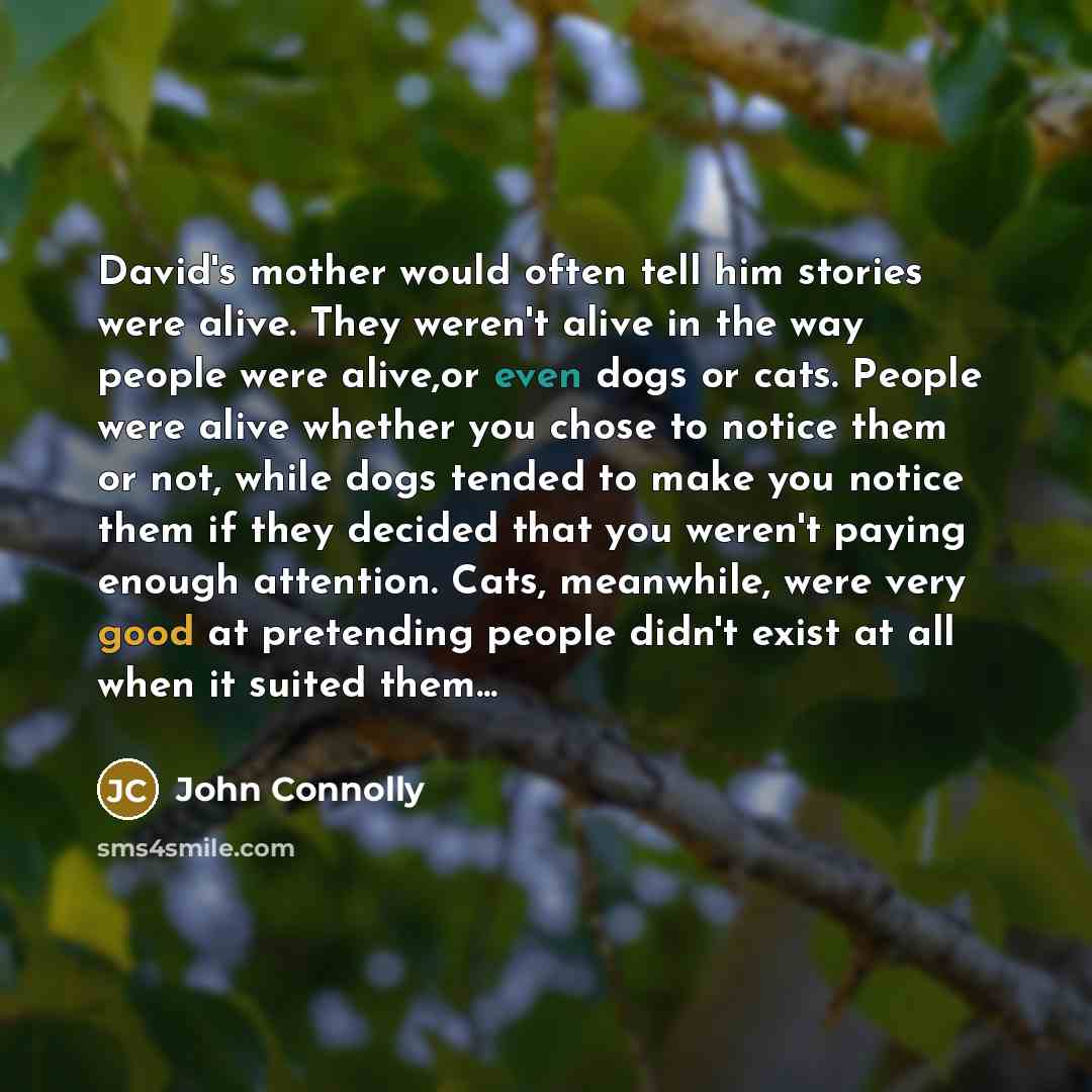 “David's mother would often tell him stories were alive. They…” quote by John Connolly