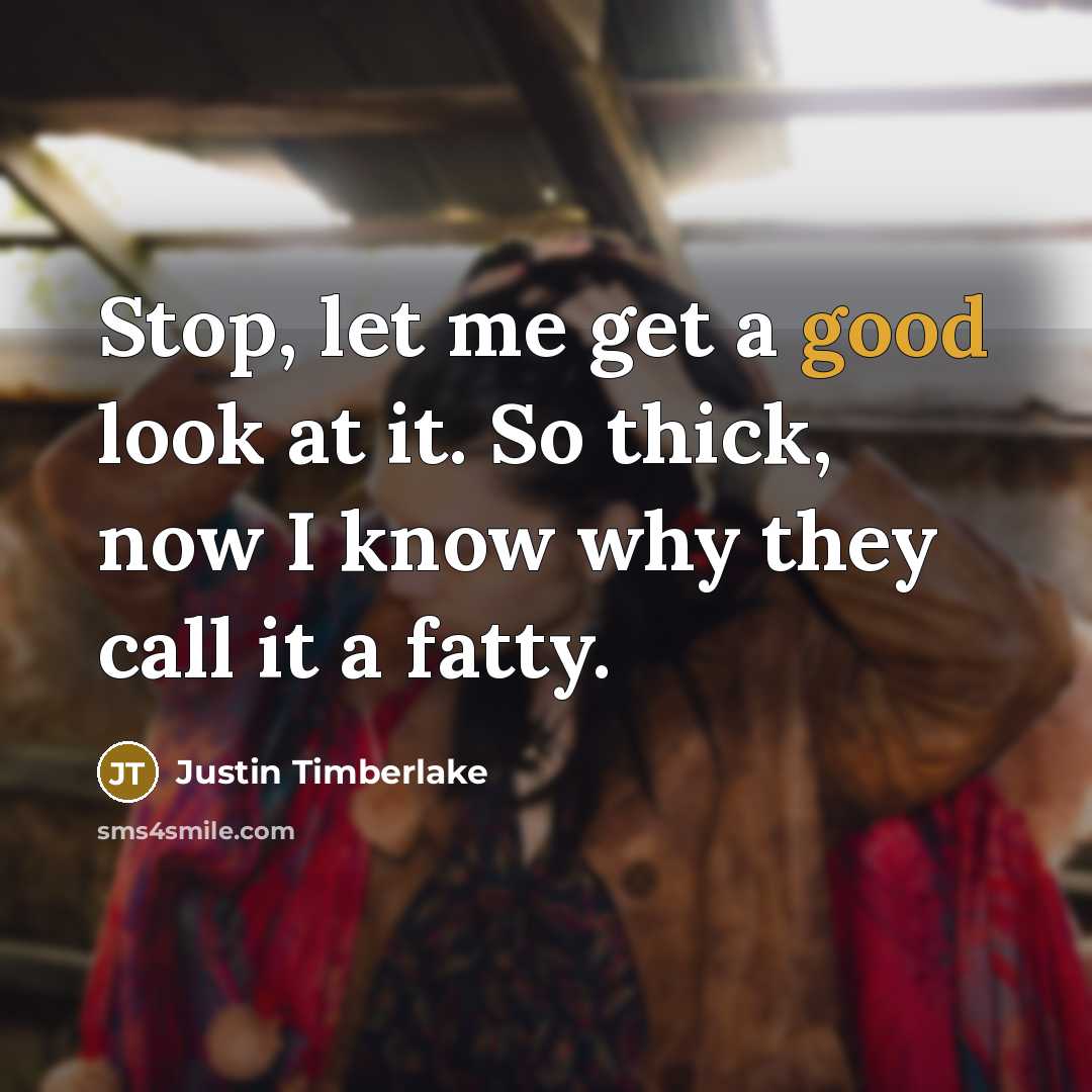 “Stop, let me get a good look at it. So…” quote by Justin Timberlake