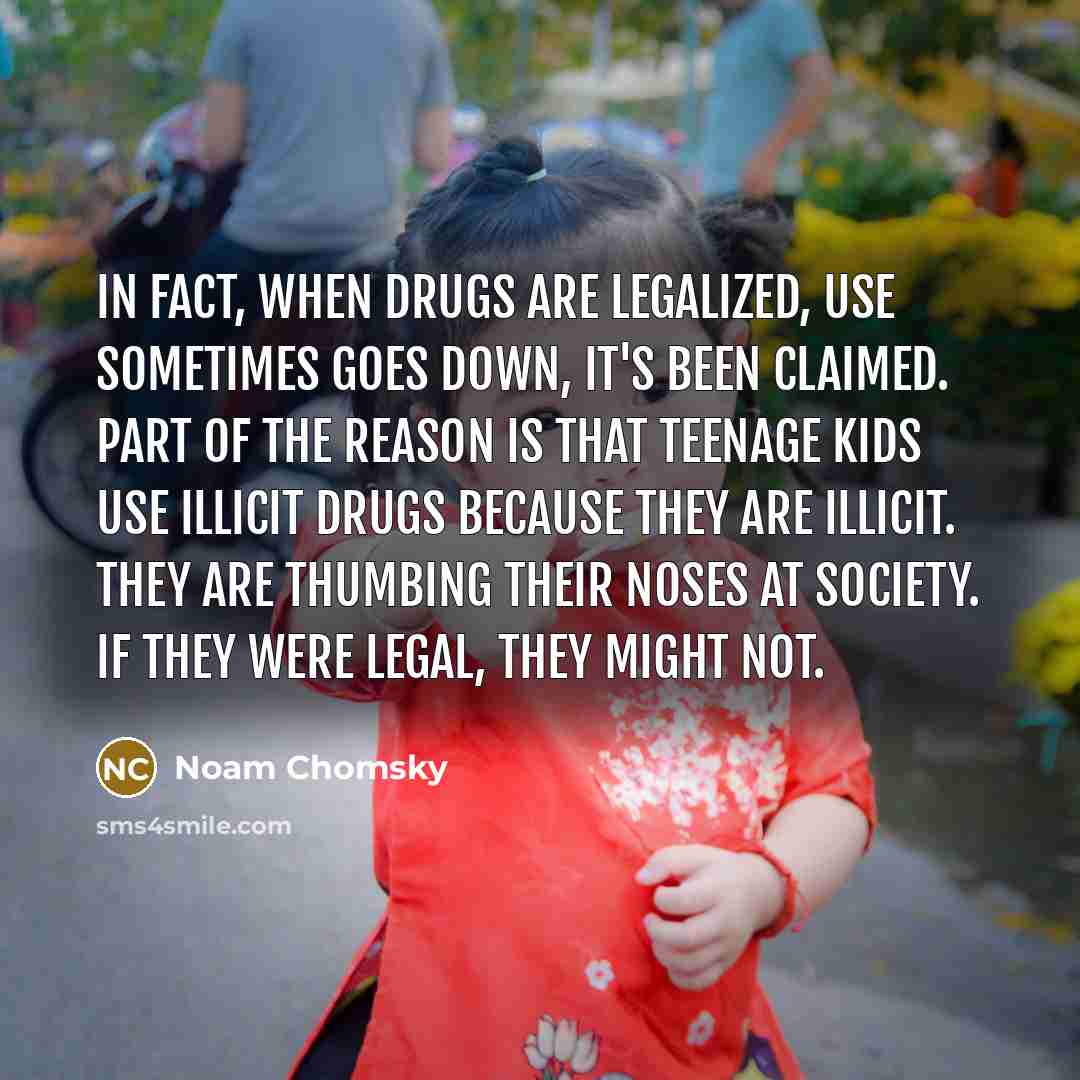 “In fact, when drugs are legalized, use sometimes goes down,…” quote by Noam Chomsky