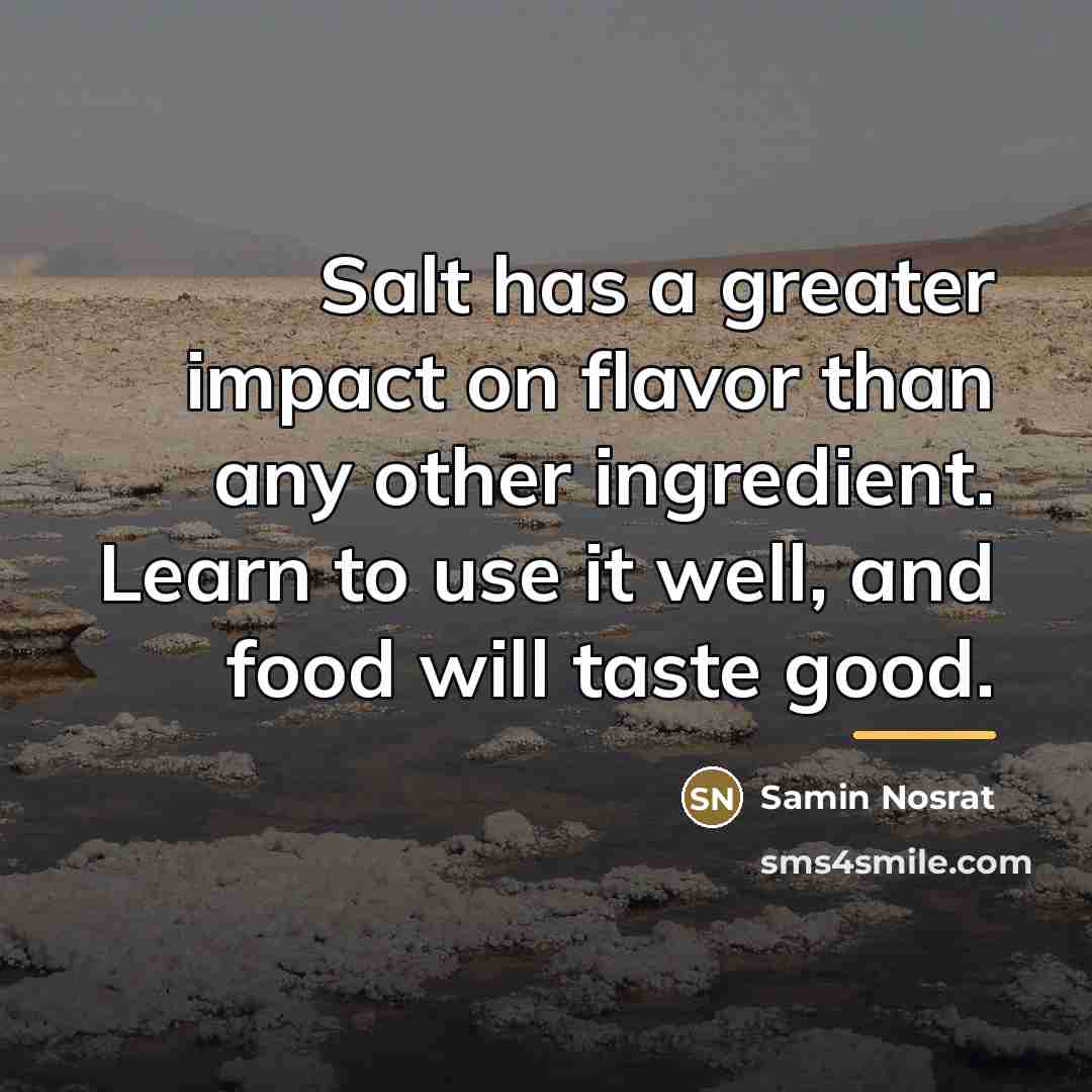 “Salt has a greater impact on flavor than any other…” quote by Samin Nosrat