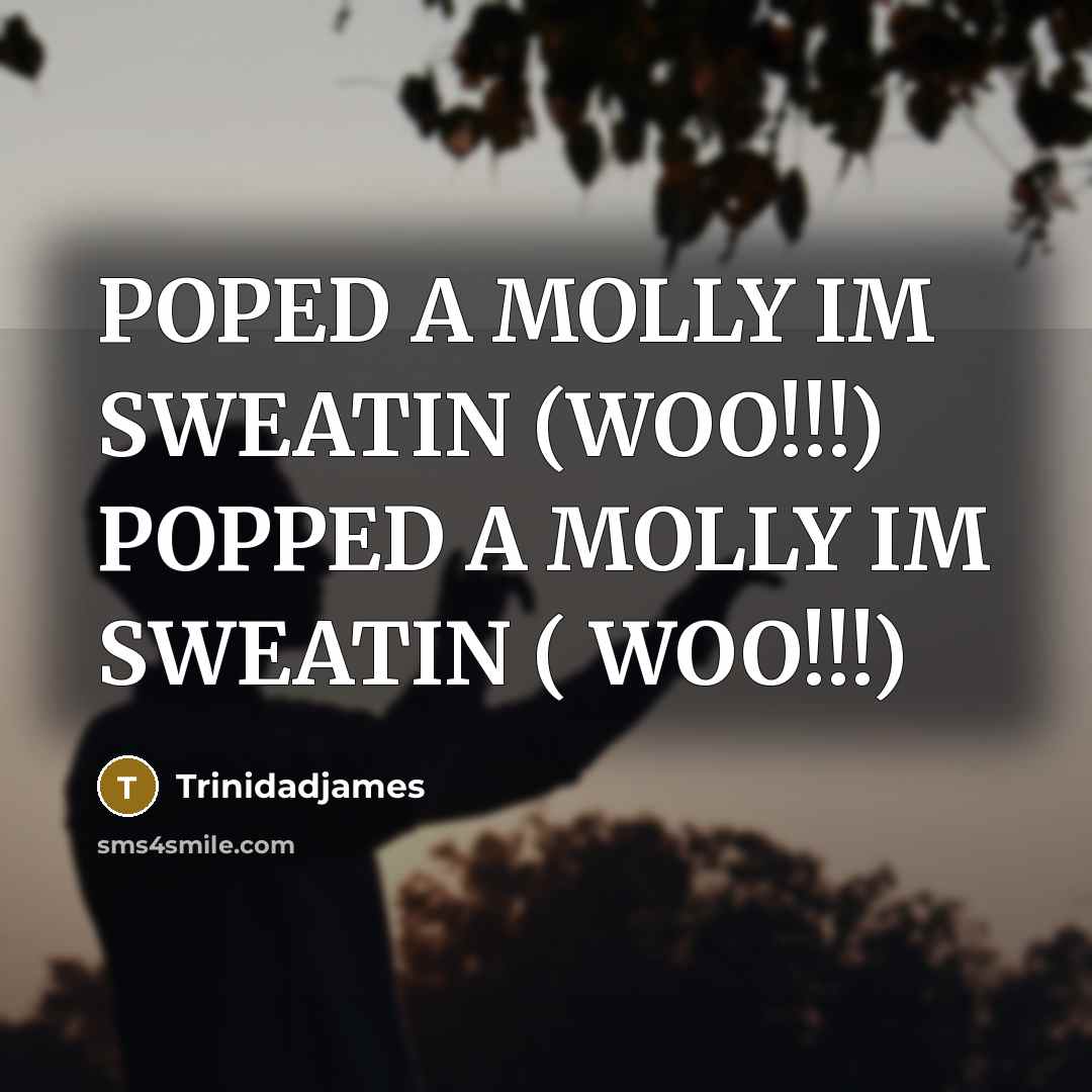 “POPED A MOLLY IM SWEATIN (WOO!!!) POPPED A MOLLY IM SWEATIN ( WOO!!!)” quote by Trinidadjames