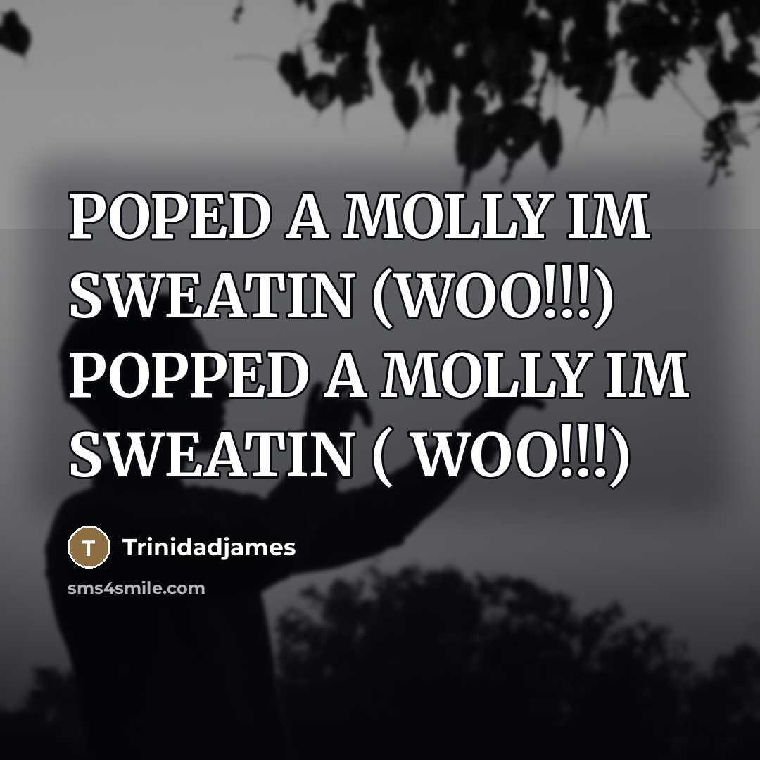“POPED A MOLLY IM SWEATIN (WOO!!!) POPPED A MOLLY IM SWEATIN ( WOO!!!)” quote by Trinidadjames