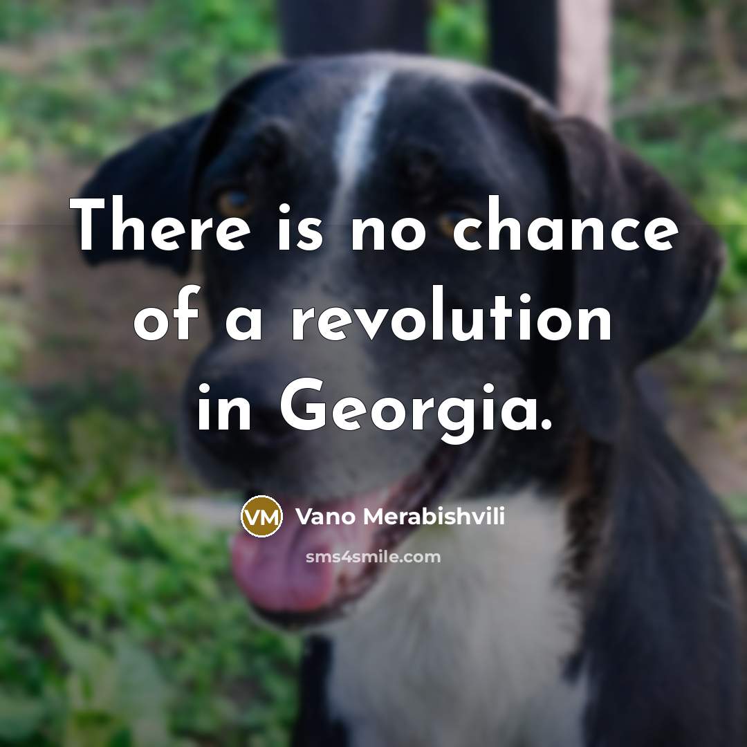 “There is no chance of a revolution in Georgia.…” quote by Vano Merabishvili