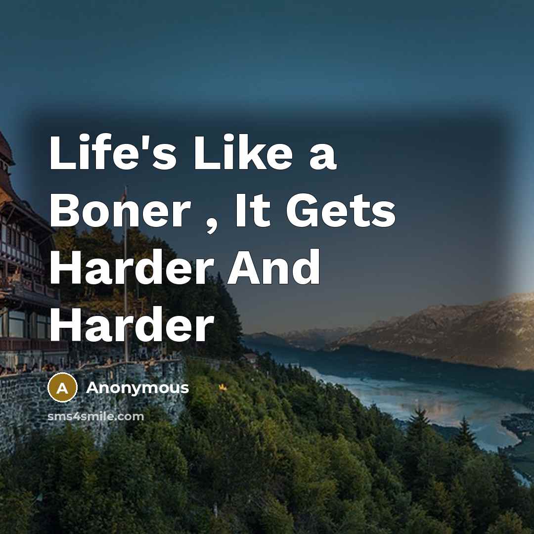 “Life's Like a Boner , It Gets Harder And Harder” quote by Anonymous