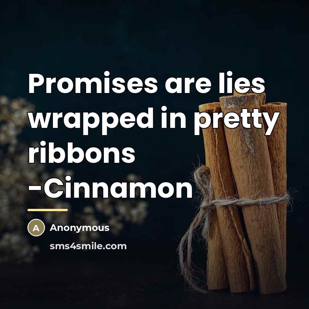 “Promises are lies wrapped in pretty ribbons -Cinnamon…” quote by Anonymous