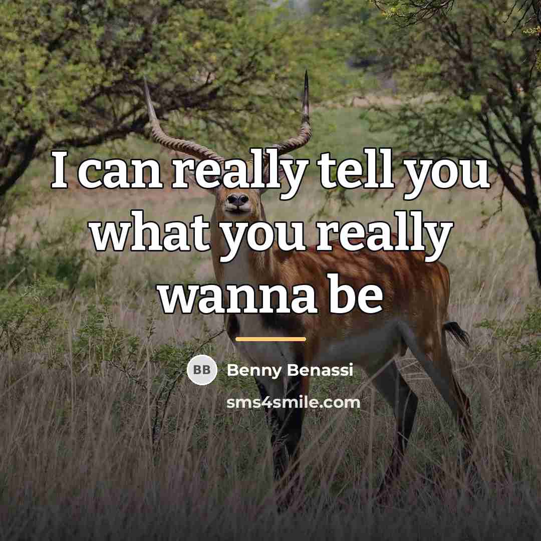 “I can really tell you what you really wanna be…” quote by Benny Benassi