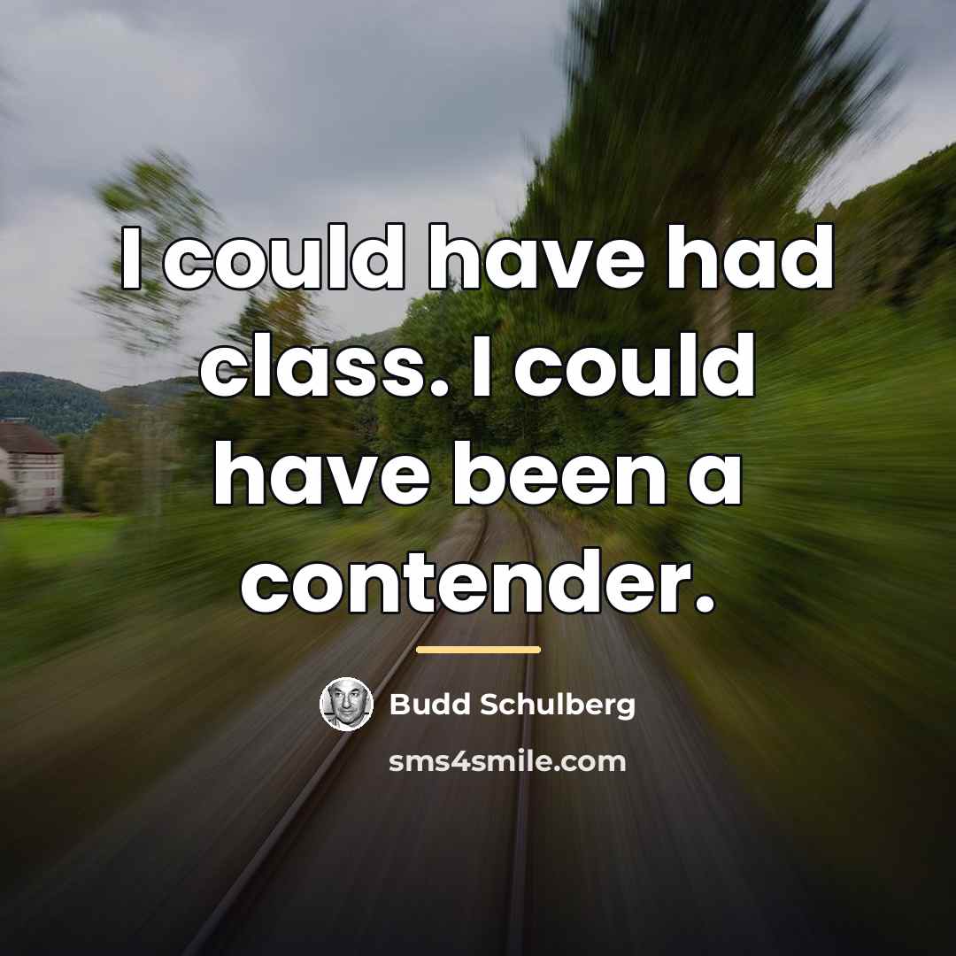“I could have had class. I could have been a…” quote by Budd Schulberg