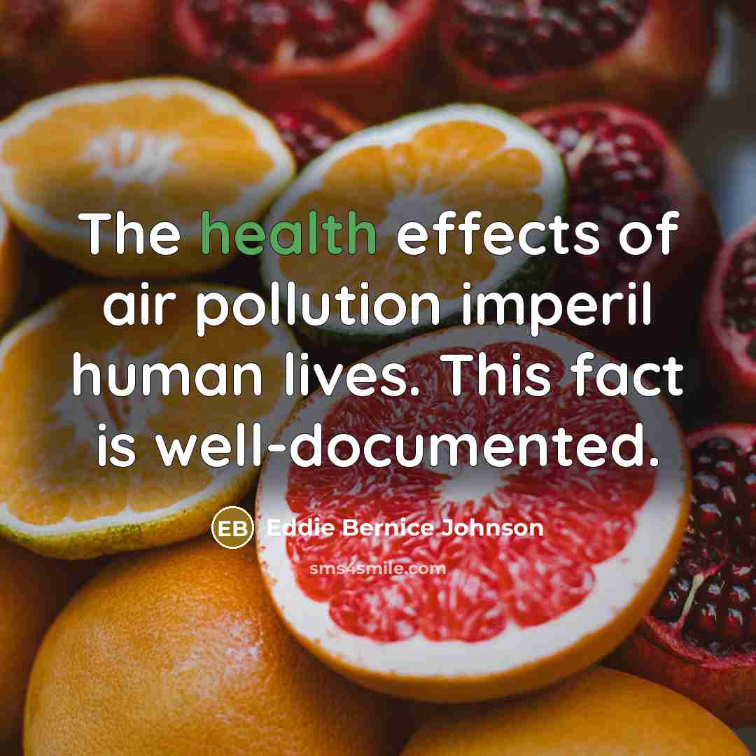 “The health effects of air pollution imperil human lives. This…” quote by Eddie Bernice Johnson
