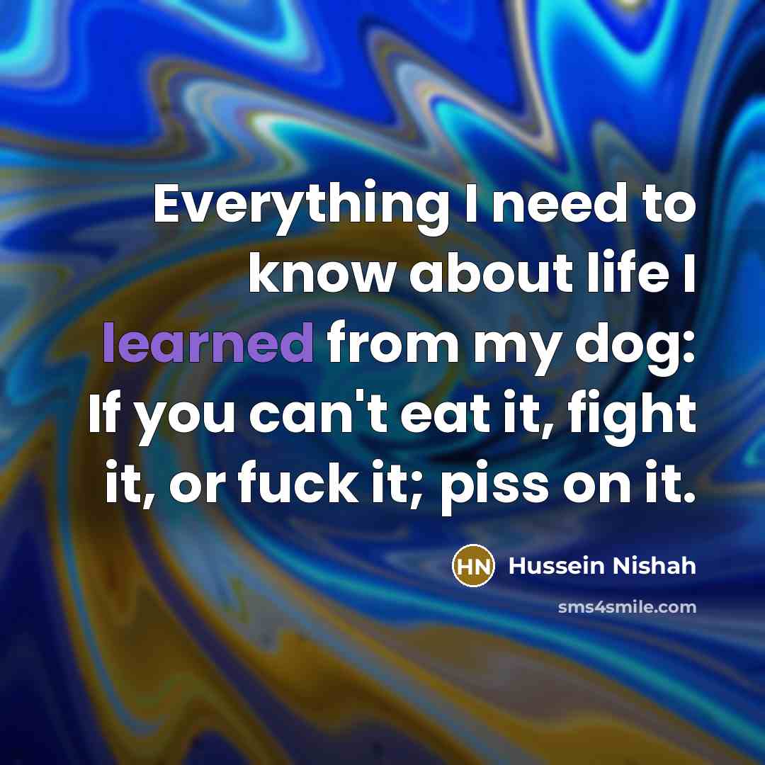 “Everything I need to know about life I learned from…” quote by Hussein Nishah