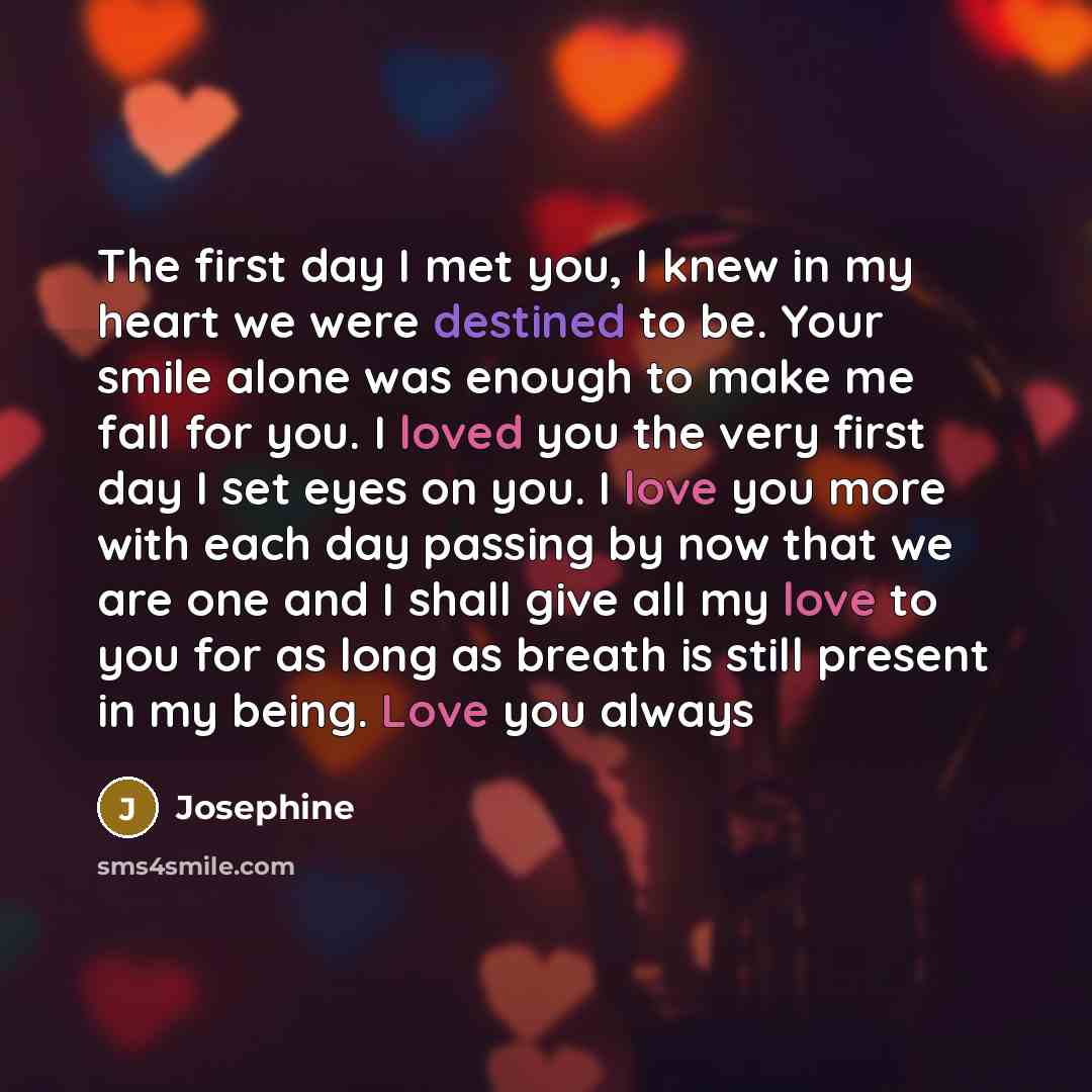 “The first day I met you, I knew in my…” quote by Josephine