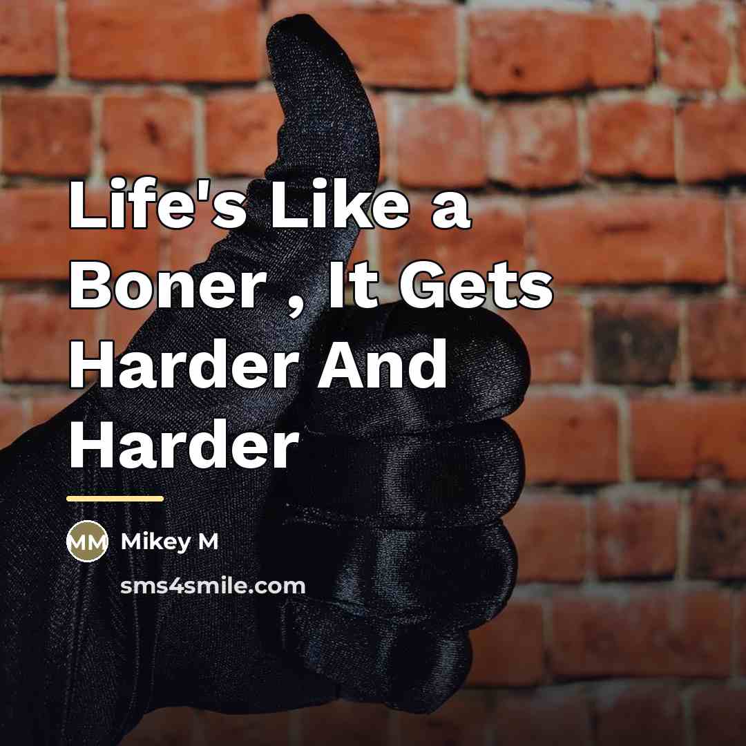 “Life's Like a Boner , It Gets Harder And Harder…” quote by Anonymous