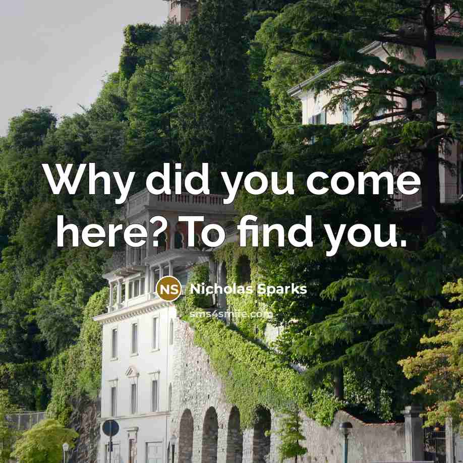 “Why did you come here? To find you.…” quote by Nicholas Sparks