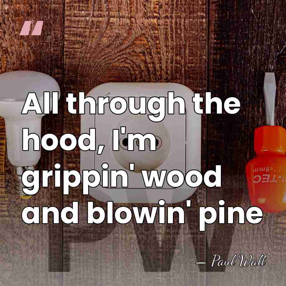 All through the hood, I'm grippin' wood and blowin' pine - Paul Wall
