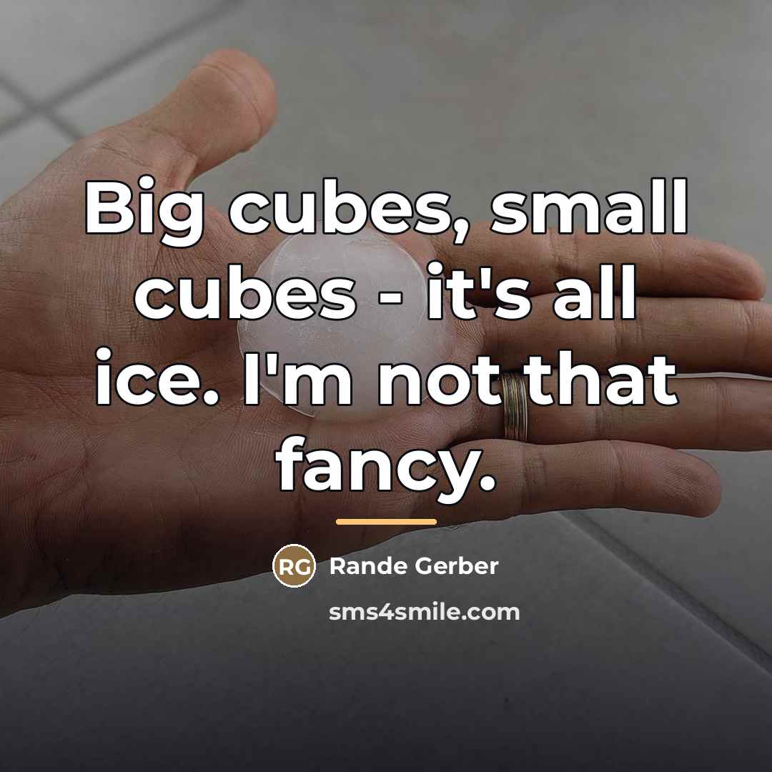 “Big cubes, small cubes - it's all ice. I'm not…” quote by Rande Gerber