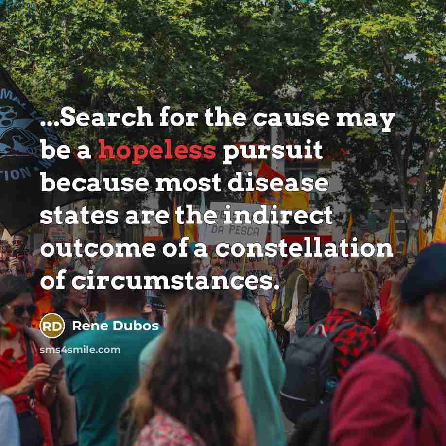 “...Search for the cause may be a hopeless pursuit because…” quote by Rene Dubos