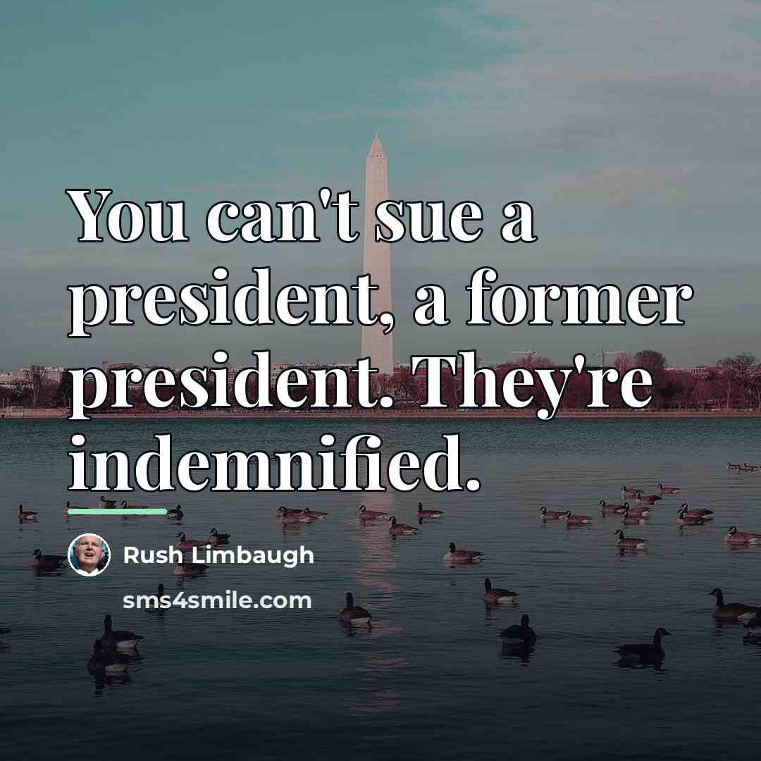 “You can't sue a president, a former president. They're indemnified.…” quote by Rush Limbaugh