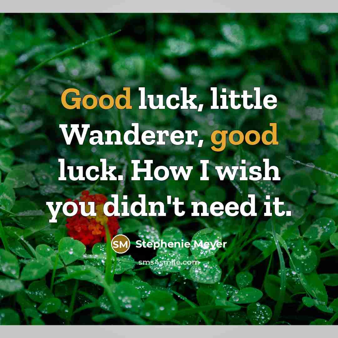“Good luck, little Wanderer, good luck. How I wish you…” quote by Stephenie Meyer