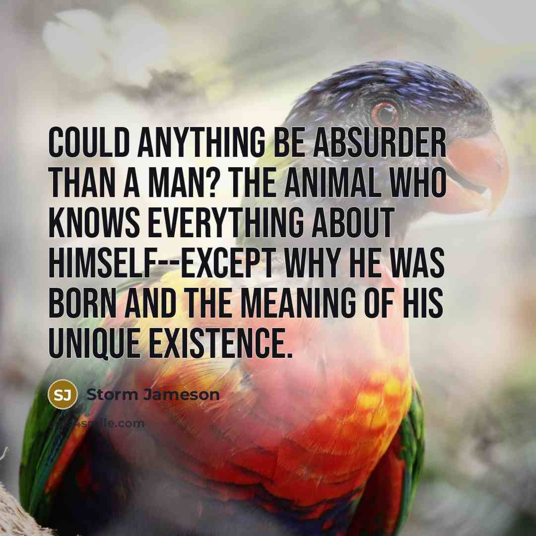 “Could anything be absurder than a man? The animal who…” quote by Storm Jameson