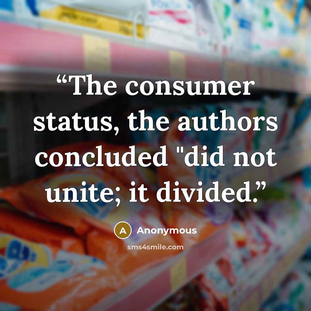 “The consumer status, the authors concluded "did not unite; it divided.” quote by Anonymous