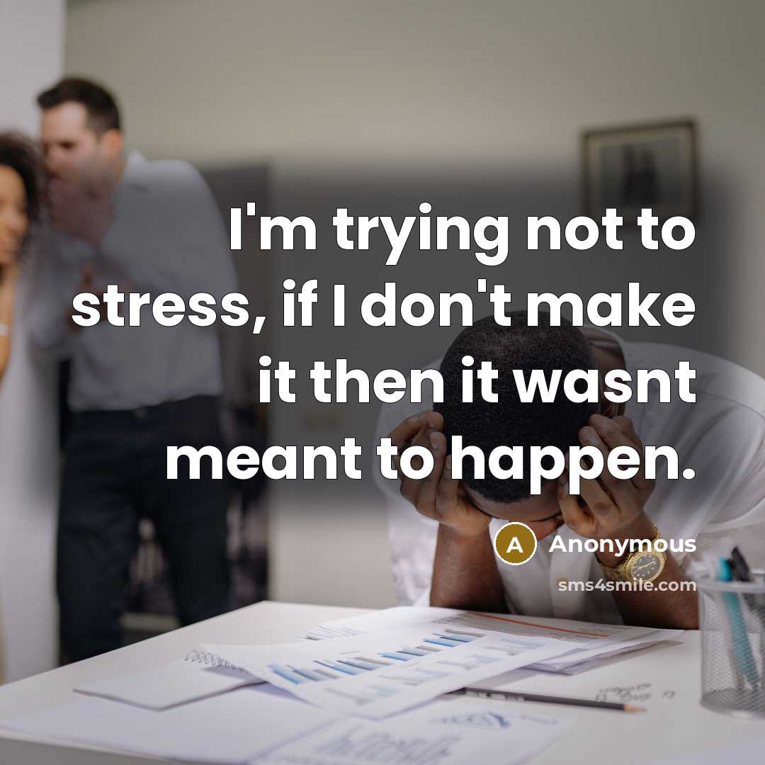 “I'm trying not to stress, if I don't make it…” quote by Anonymous