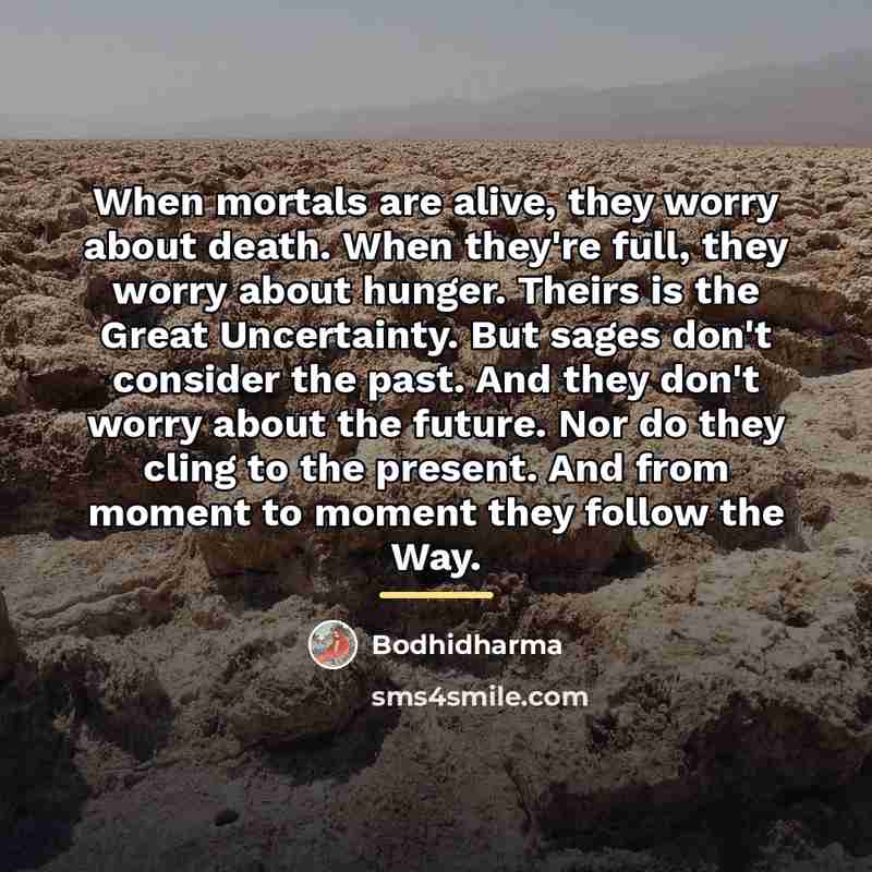 “When mortals are alive, they worry about death. When they're…” quote by Bodhidharma