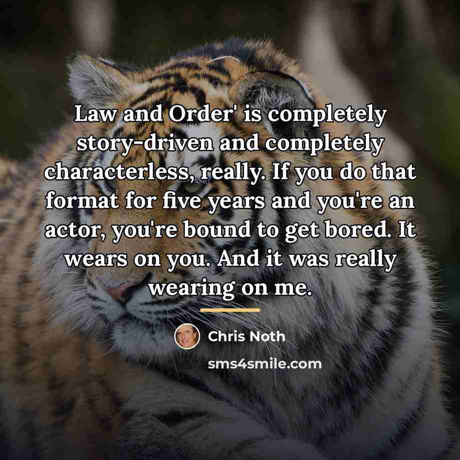 “Law and Order' is completely story-driven and completely characterless, really.…” quote by Chris Noth