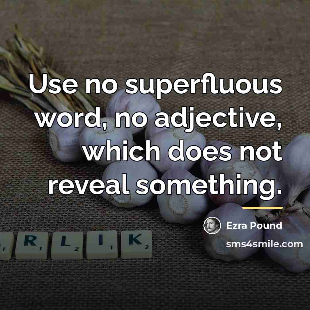 “Use no superfluous word, no adjective, which does not reveal…” quote by Ezra Pound