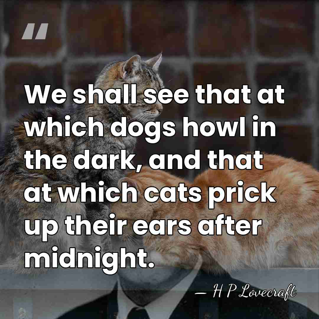 We shall see that at which dogs howl in the dark, and&hellip; - H P Lovecraft