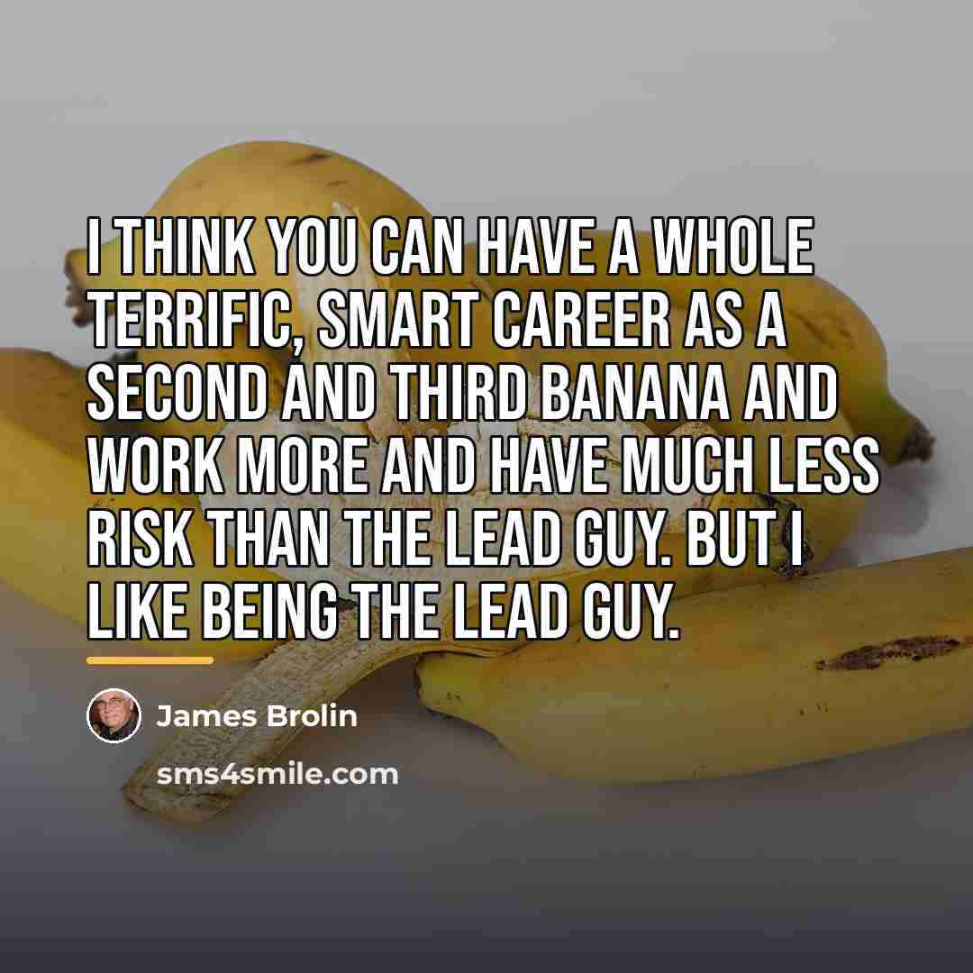 “I think you can have a whole terrific, smart career…” quote by James Brolin