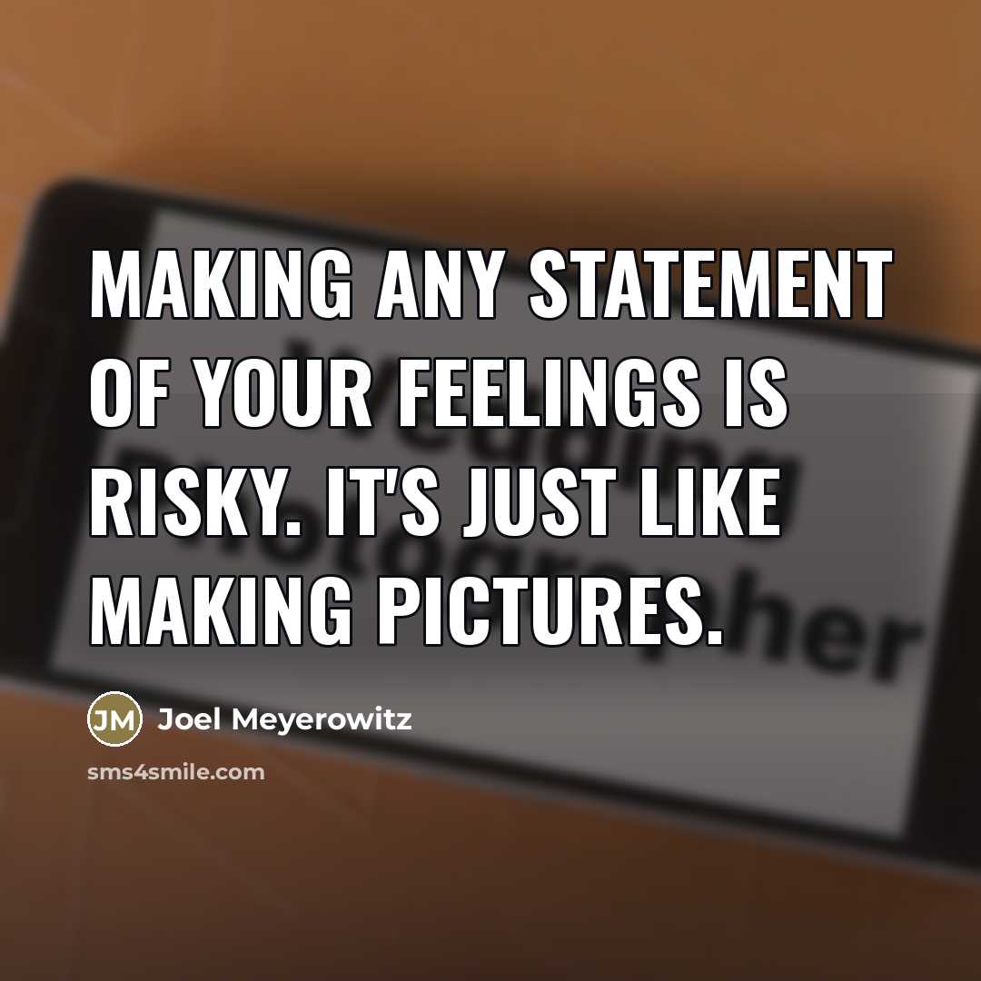 “Making any statement of your feelings is risky. It's just…” quote by Joel Meyerowitz