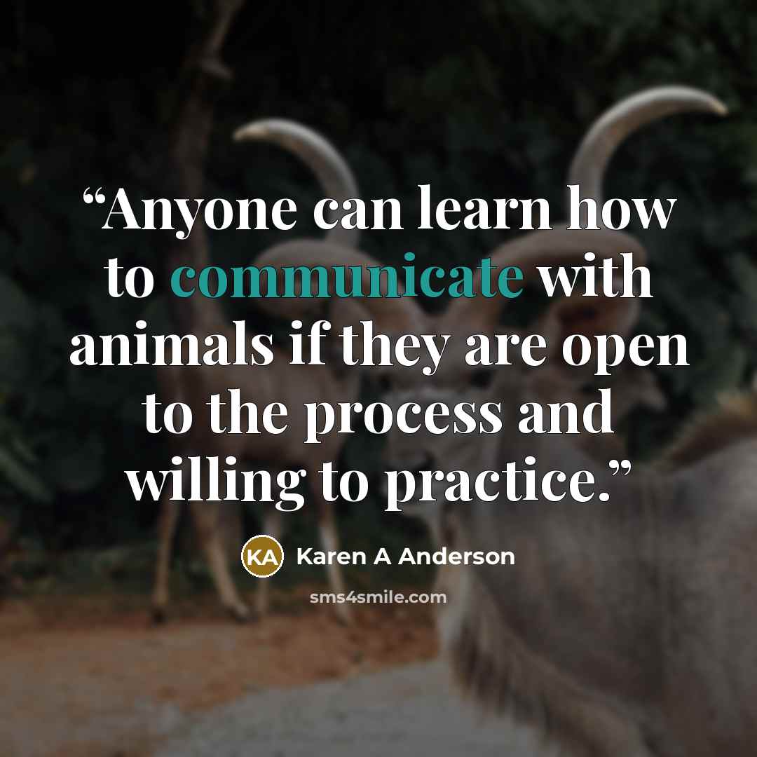 “Anyone can learn how to communicate with animals if they are open to the process and willing to practice.” quote by Karen A Anderson