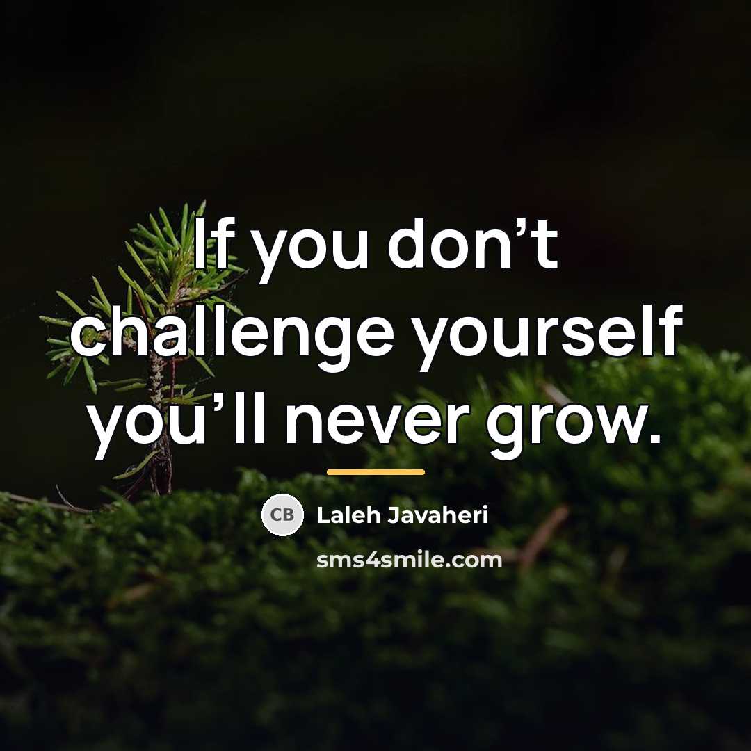 “If you don't challenge yourself you'll never grow.…” quote by Laleh Javaheri