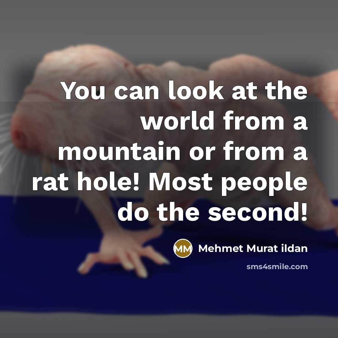 “You can look at the world from a mountain or…” quote by Mehmet Murat Ildan