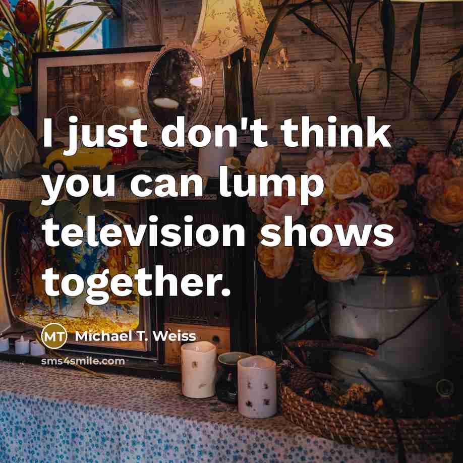 “I just don't think you can lump television shows together.…” quote by Michael T. Weiss