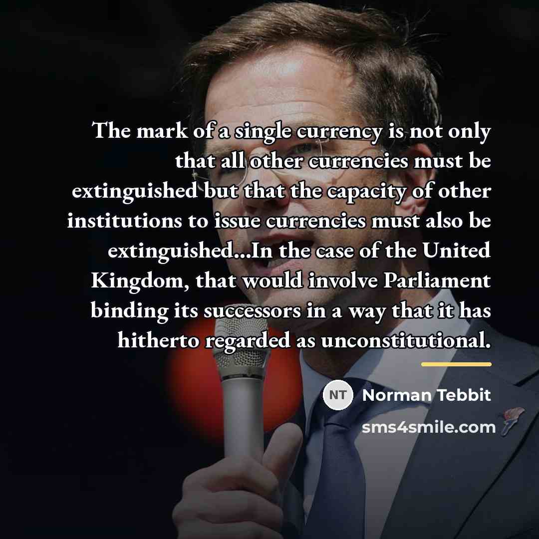 “The mark of a single currency is not only that…” quote by Norman Tebbit