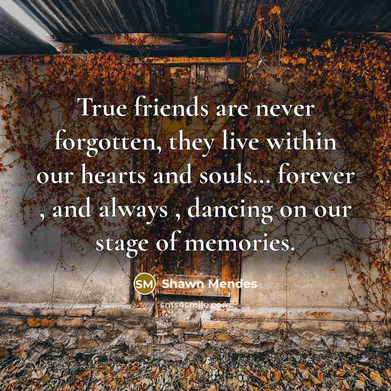 “True friends are never forgotten, they live within our hearts…” quote by Shawn Mendes