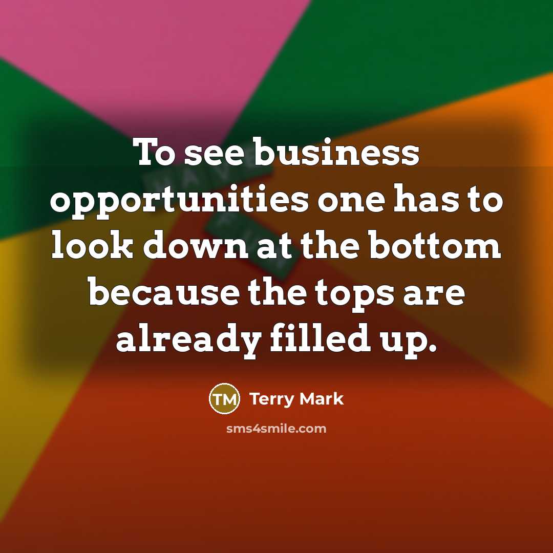 “To see business opportunities one has to look down at…” quote by Terry Mark
