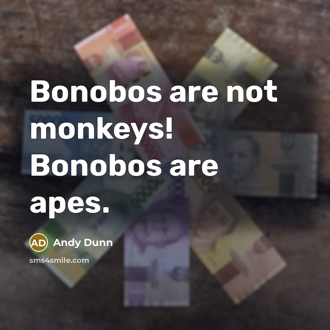 “Bonobos are not monkeys! Bonobos are apes.…” quote by Andy Dunn