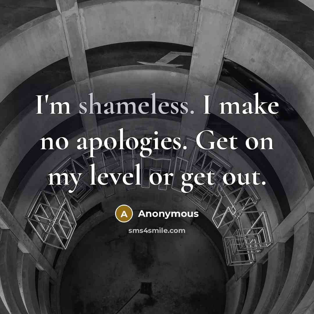 “I'm shameless. I make no apologies. Get on my level or get out.” quote by Anonymous