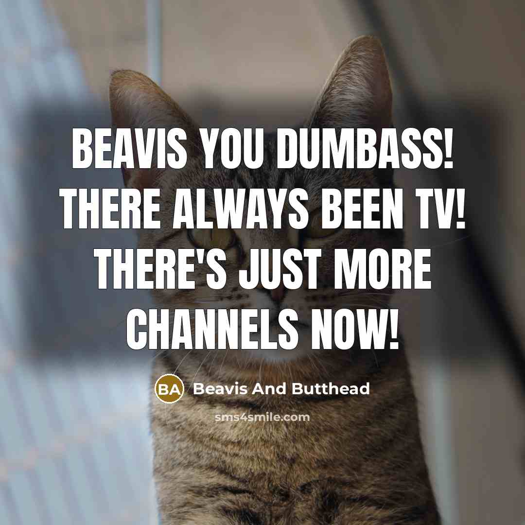 “Beavis you dumbass! There always been TV! There's just more…” quote by Beavis And Butthead