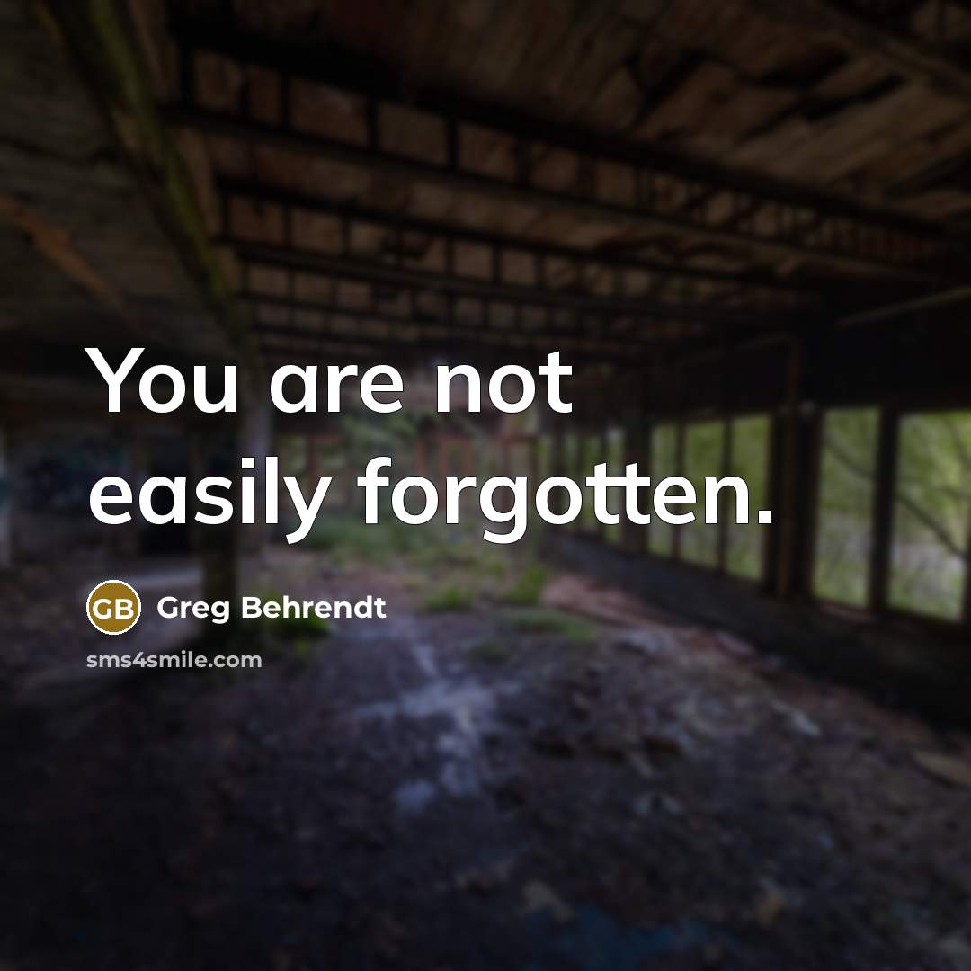 “You are not easily forgotten.…” quote by Greg Behrendt