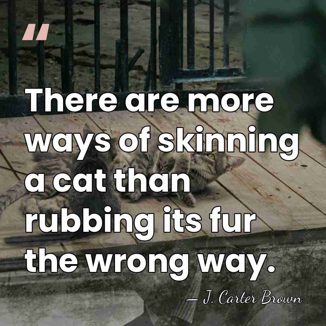 There are more ways of skinning a cat than rubbing its fur&hellip; - J. Carter Brown