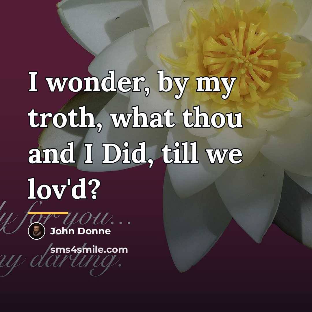 “I wonder, by my troth, what thou and I Did,…” quote by John Donne