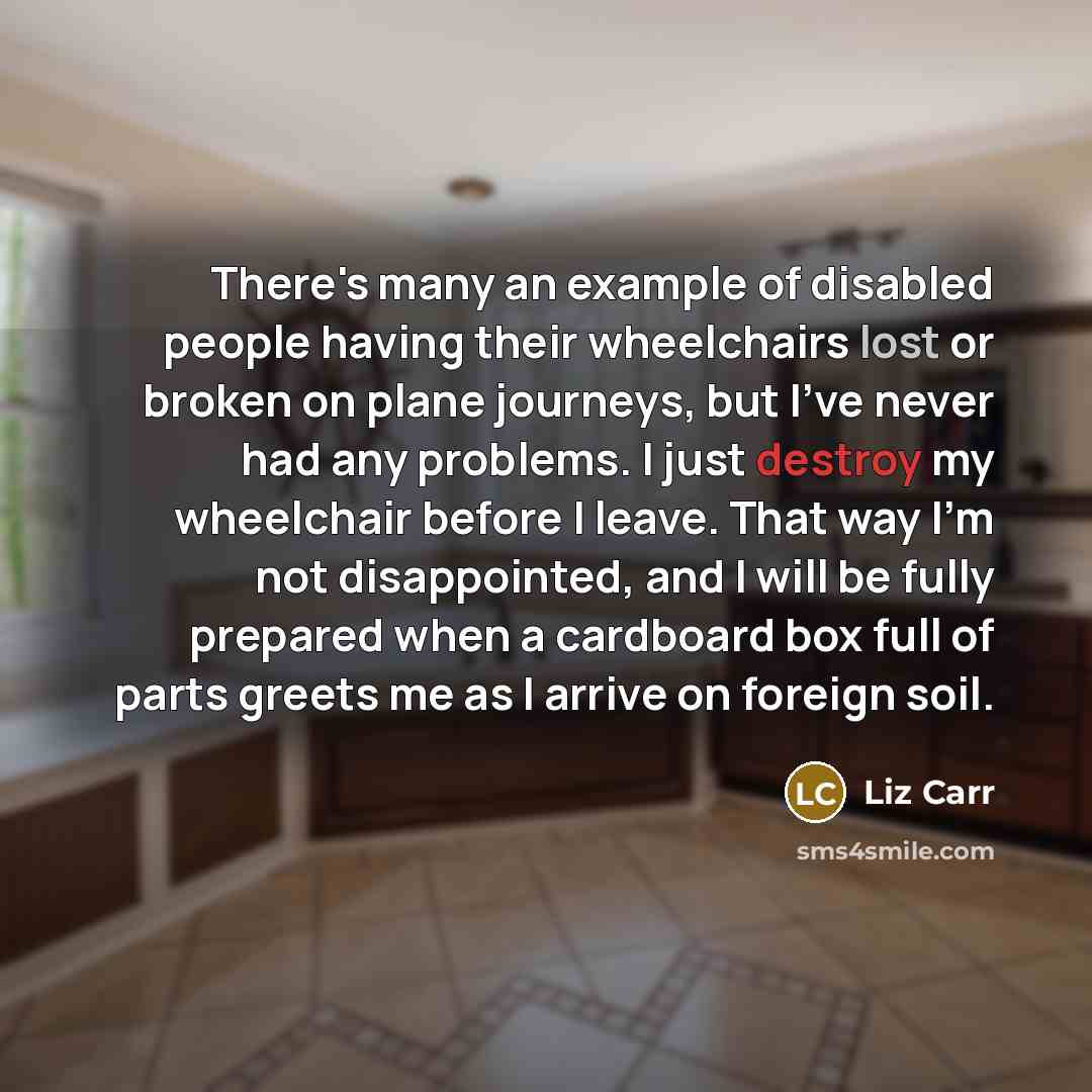 “There's many an example of disabled people having their wheelchairs…” quote by Liz Carr