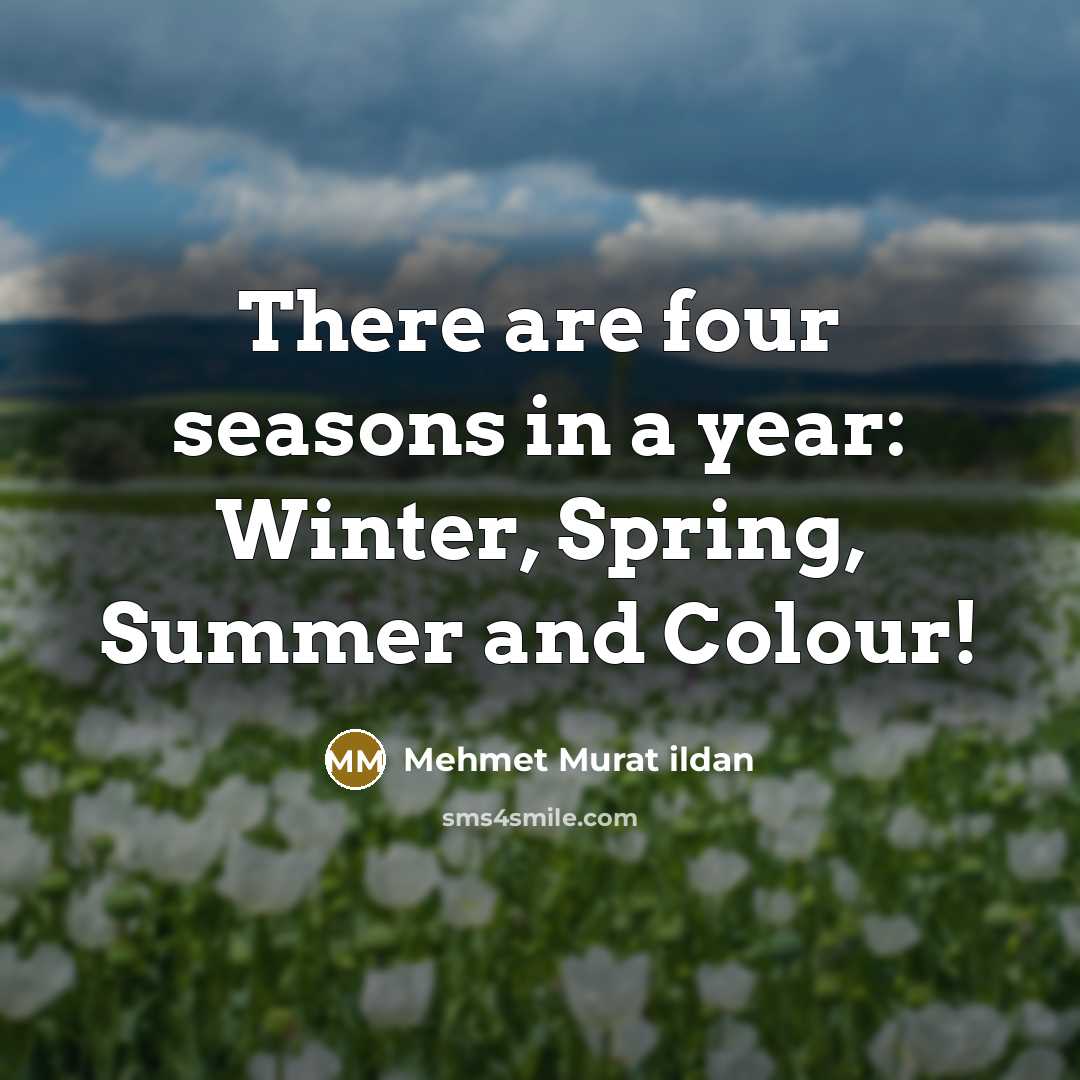 “There are four seasons in a year: Winter, Spring, Summer…” quote by Mehmet Murat Ildan