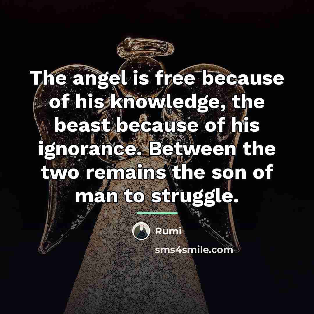 “The angel is free because of his knowledge, the beast…” quote by Rumi