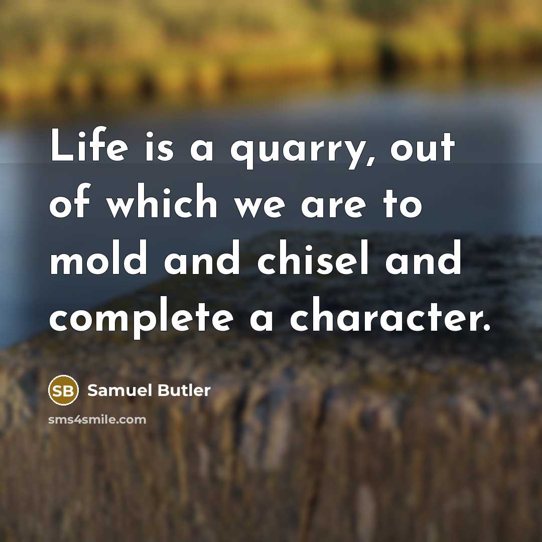 “Life is a quarry, out of which we are to…” quote by Samuel Butler